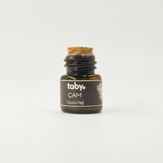 Koku – Çam