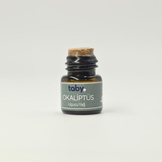 Koku – Okaliptüs